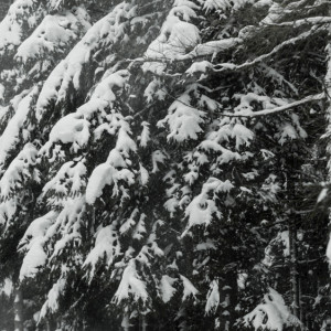 Народные приметы на 17 февраля 2024: что можно и нельзя делать в день Николая Исповедника