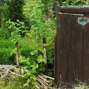 Дорофеев день: что можно и нельзя делать 18 июня