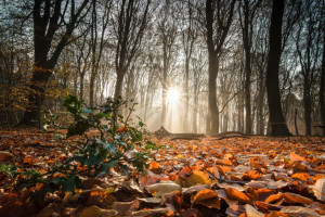 Прогноз погоды во Владимире и области на 2 октября