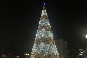 На площади Победы во Владимире зажгли новогоднюю елку