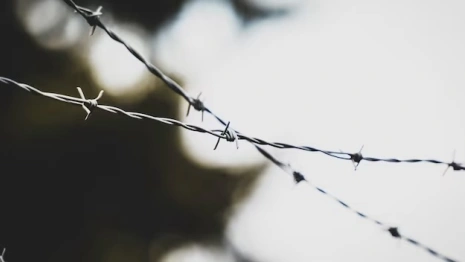 Житель Владимира получил 11,5 лет колонии за убийство возлюбленной