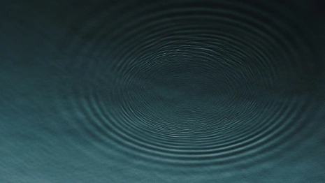 Во Владимирской области из реки достали тело 72-летней жительницы Ногинска