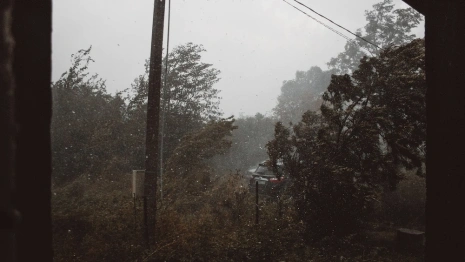 В выходные на Владимирскую область обрушится сильный ветер