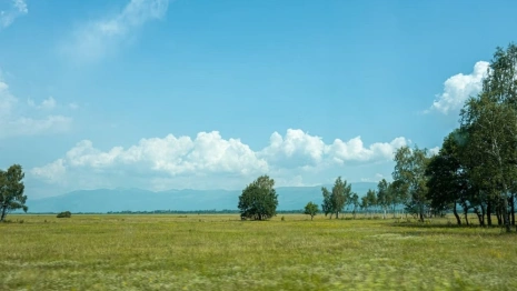 Экс-главу Коврова обвинили в халатности с выделением земли многодетным