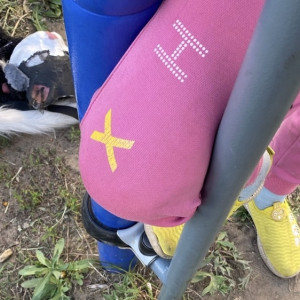 В Коврове девочка застряла в конструкции на детской площадке