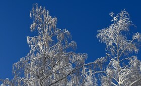 На Владимирскую область надвигается ураган до 15-17 м/с