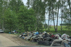 В Коврове въезд на кладбище превратили в свалку
