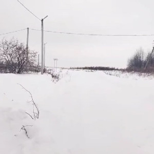  Жители трех деревень под Суздалем попали в снежный плен
