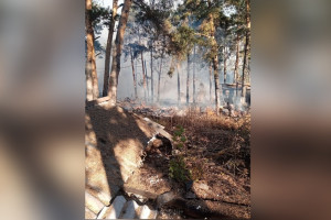 Во Владимире приведут в порядок пострадавшую от мощного пожара часть Заклязьменского 