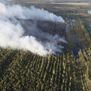 Лесной пожар в Камешковском районе отправились тушить 75 человек