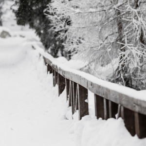 Прогноз погоды во Владимире и области на 26 февраля