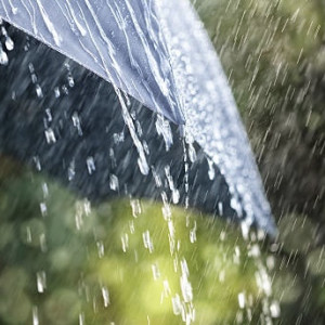 Во Владимирскую область придет долгожданный ливень