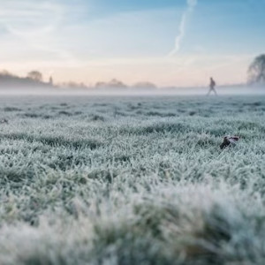 Народные приметы: что можно и чего нельзя делать 22 января в Филиппов день