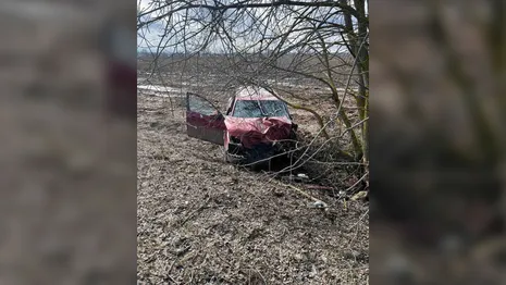 Во Владимирской области водитель и пассажир иномарки погибли в ДТП с деревом