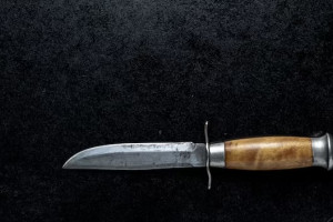 Зарезавшую брата жительницу Владимира осудили на 10 лет