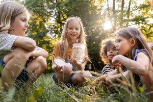 Стало известно, во сколько обойдется отдых во владимирских лагерях «Икар» и «Дружба»