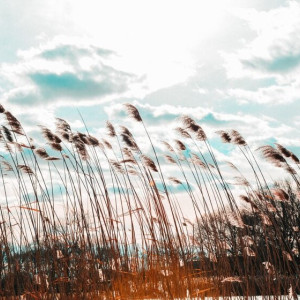 Во Владимирской области 3 апреля разбушуется ураган