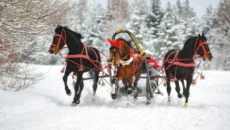 Гости Суздаля впервые смогут покататься на русской тройке на Масленицу