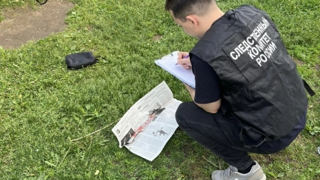 Жителя Камешковского района арестовали за убийство матери