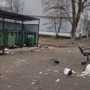 В Кольчугино на 6 улицах выросли стихийные свалки из-за долгого невывоза мусора