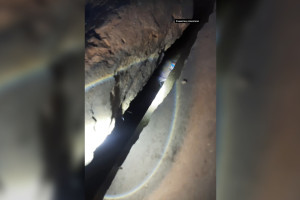 Во Владимирской области спасли провалившегося под бетонную плиту котенка