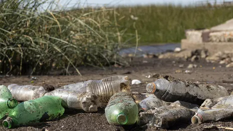 Во Владимирской области нашли мусорную свалку в 30 соток