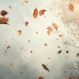 Прогноз погоды во Владимирской области на 4 сентября