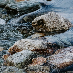 В Суздале запретили незаконные экскурсии на теплоходе по реке Каменке