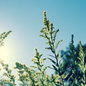 Во Владимирской области потеплеет до +14 градусов