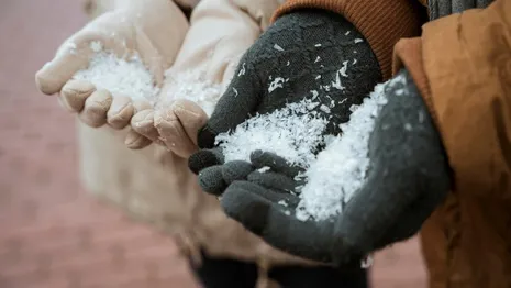 Во Владимирской области на 8 марта спрогнозировали снег