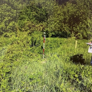 В Муроме экс-председателя комитета по землеустройству обвинили в мошенничестве