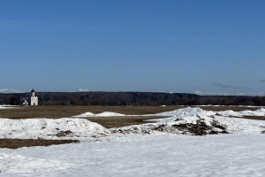 Прогноз погоды во Владимирской области на 12 марта 2026 года