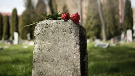 Чиновники из Петушков попали под суд из-за отсутствия санитарных зон для кладбищ