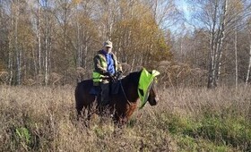 В лесу под Гороховцом встретили охотника на коне