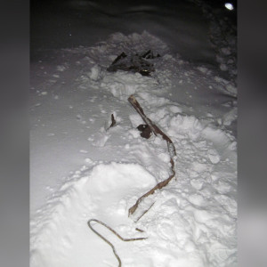 Двое нижегородцев украли 800 кг металла с поезда в Муроме