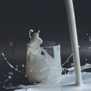 В 6,7% пробах молока во Владимирской области нашли кишечную палочку