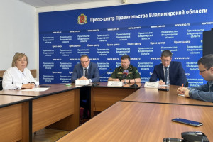 «Гусениц не будет – будут бабочки». Что владимирские власти рассказали о нашествии шелкопряда