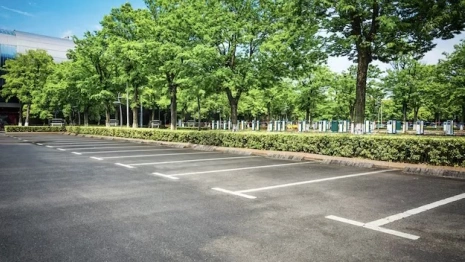 К организации платных парковок во Владимире приступят с 1 марта