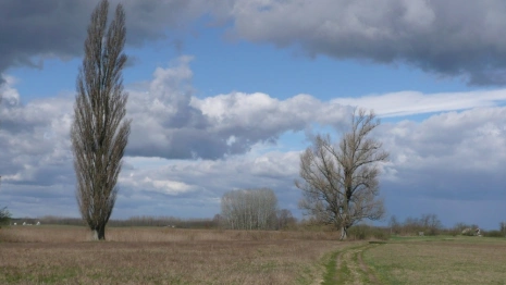 Владимирские энергетики приготовились к работе при штормовом ветре