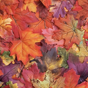 Во Владимирской области на неделе похолодает до +14 градусов