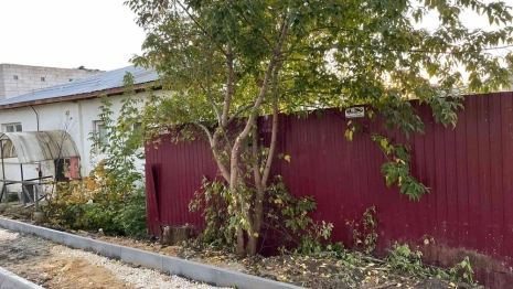 Во Владимире бизнесмен расширил участок за счет муниципальной земли