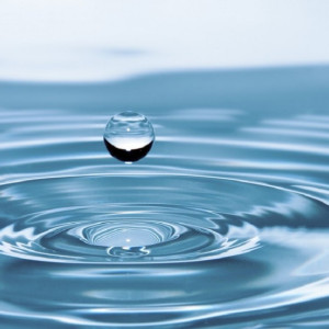 В Сети снова распространили фейк об эпидемии холеры  