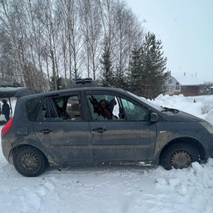 Следком назвал возможный повод для кровавой расправы в юрьев-польском селе