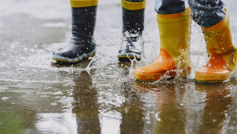 Прогноз погоды во Владимирской области на 8 октября