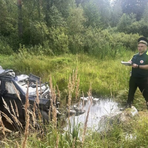 Полиция раскрыла подробности ДТП с погибшим депутатом Заксобрания Владимирской области