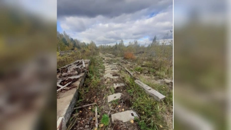В Красной Горбатке экс-полицейского и его друга оштрафовали за кражу рельсов