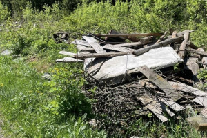 В Судогодском районе громадную стихийную свалку убрали после суда