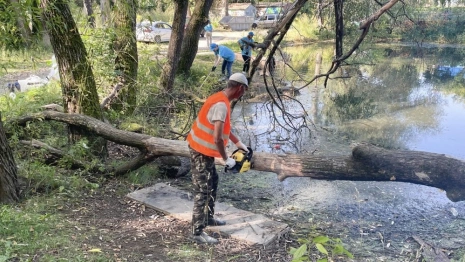 Во Владимире волонтеры расчистили территорию нижнего Красносельского пруда