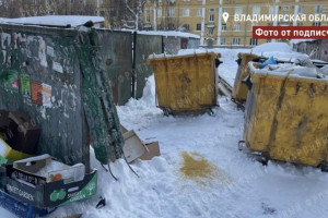 Общественники возмутились мусорным коллапсом в Коврове