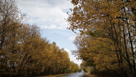 Прогноз погоды во Владимирской области на 9 сентября
